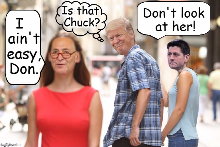 Chuck Identifies as the Lady in Red |  Is that Chuck? Don't look at her! I  ain't easy, Don. | image tagged in vince vance,chuck schumer,paul ryan,donald trump,boys will be boys,political meme | made w/ Imgflip meme maker