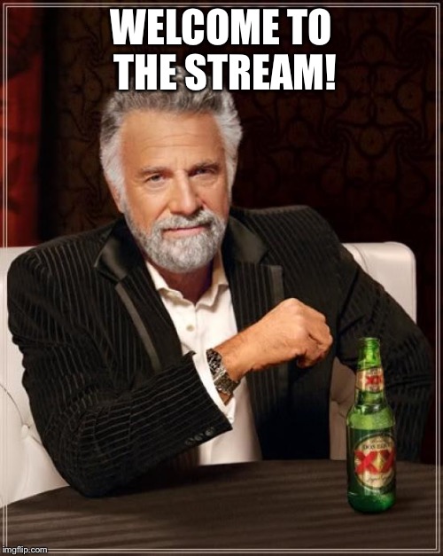 The Most Interesting Man In The World | WELCOME TO THE STREAM! | image tagged in memes,the most interesting man in the world | made w/ Imgflip meme maker