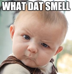 Skeptical Baby | WHAT DAT SMELL | image tagged in memes,skeptical baby | made w/ Imgflip meme maker