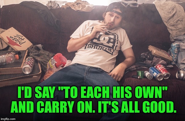 Stoner on couch | I'D SAY "TO EACH HIS OWN" AND CARRY ON. IT'S ALL GOOD. | image tagged in stoner on couch | made w/ Imgflip meme maker
