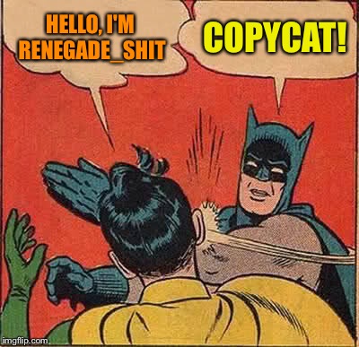 Let's agree to end the copycat accounts - what's your opinion? | HELLO, I'M RENEGADE_SHIT; COPYCAT! | image tagged in memes,batman slapping robin,copycat | made w/ Imgflip meme maker
