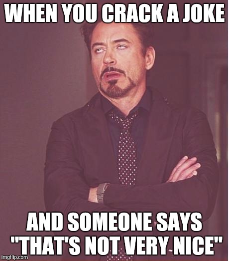 Face You Make Robert Downey Jr Meme | WHEN YOU CRACK A JOKE; AND SOMEONE SAYS "THAT'S NOT VERY NICE" | image tagged in memes,face you make robert downey jr | made w/ Imgflip meme maker