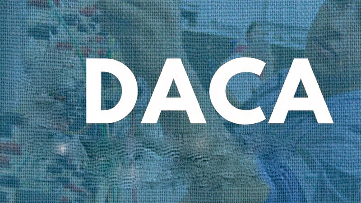 DACA Blank Meme Template