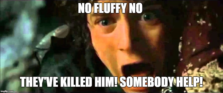 Frodo - noo edited to size | NO FLUFFY NO THEY'VE KILLED HIM! SOMEBODY HELP! | image tagged in frodo - noo edited to size | made w/ Imgflip meme maker