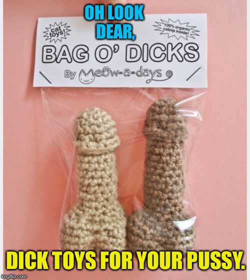 Happy 16th wedding anniversary hon, I got you a gift. Why are you looking at me like that? | OH LOOK DEAR, DICK TOYS FOR YOUR PUSSY. | image tagged in dick,penis,pussy,cat,toys,sex | made w/ Imgflip meme maker