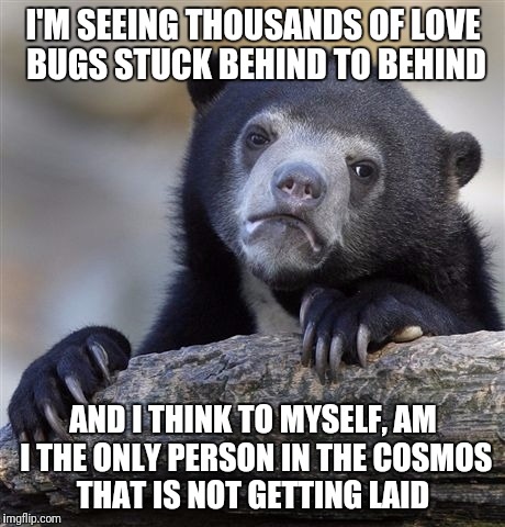 Confession Bear | I'M SEEING THOUSANDS OF LOVE BUGS STUCK BEHIND TO BEHIND; AND I THINK TO MYSELF, AM I THE ONLY PERSON IN THE COSMOS THAT IS NOT GETTING LAID | image tagged in memes,confession bear | made w/ Imgflip meme maker