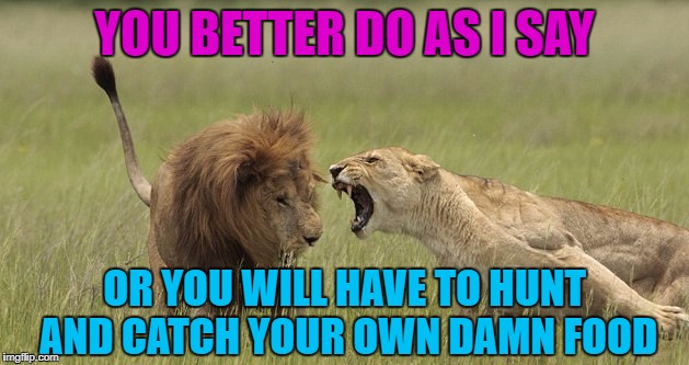 YOU BETTER DO AS I SAY OR YOU WILL HAVE TO HUNT AND CATCH YOUR OWN DAMN FOOD | made w/ Imgflip meme maker
