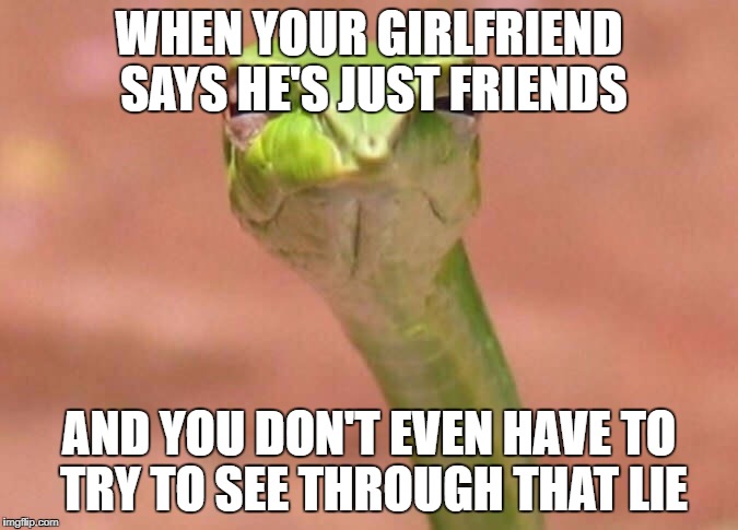 Skeptical snake | WHEN YOUR GIRLFRIEND SAYS HE'S JUST FRIENDS; AND YOU DON'T EVEN HAVE TO TRY TO SEE THROUGH THAT LIE | image tagged in skeptical snake | made w/ Imgflip meme maker