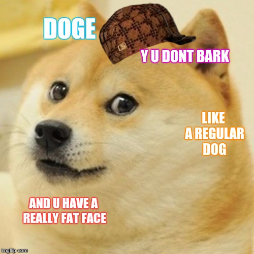 Doge Meme | DOGE; Y U DONT BARK; LIKE A REGULAR DOG; AND U HAVE A REALLY FAT FACE | image tagged in memes,doge,scumbag | made w/ Imgflip meme maker