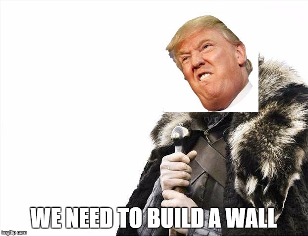 Brace Yourselves X is Coming | WE NEED TO BUILD A WALL | image tagged in memes,brace yourselves x is coming | made w/ Imgflip meme maker