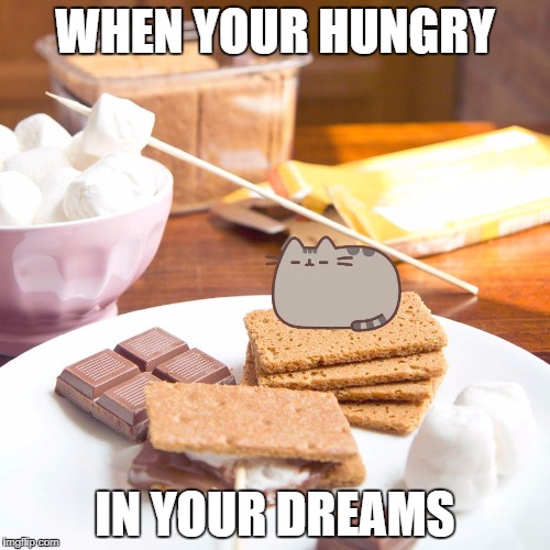 Pusheen sleeps  | WHEN YOUR HUNGRY; IN YOUR DREAMS | image tagged in pusheen sleeps | made w/ Imgflip meme maker