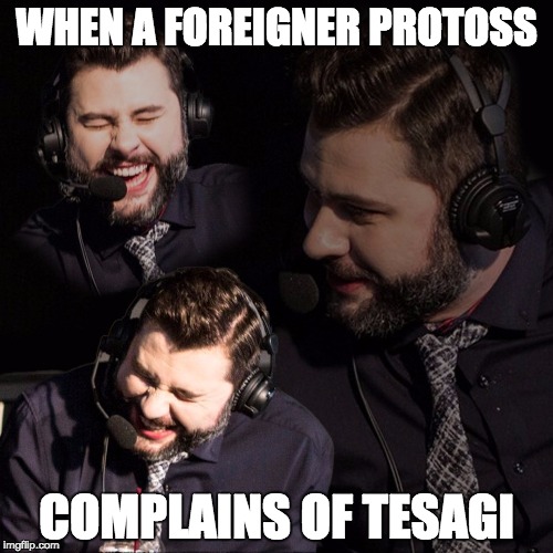 callmetasteless | WHEN A FOREIGNER PROTOSS; COMPLAINS OF TESAGI | image tagged in callmetasteless | made w/ Imgflip meme maker