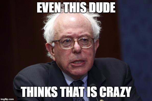 Bernie Sanders | EVEN THIS DUDE; THINKS THAT IS CRAZY | image tagged in bernie sanders | made w/ Imgflip meme maker