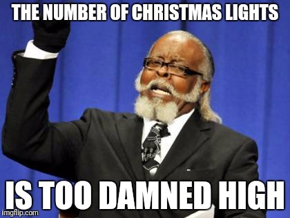 Too Damn High Meme | THE NUMBER OF CHRISTMAS LIGHTS; IS TOO DAMNED HIGH | image tagged in memes,too damn high | made w/ Imgflip meme maker
