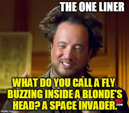 Ancient Aliens Meme | THE ONE LINER; WHAT DO YOU CALL A FLY BUZZING INSIDE A BLONDE'S HEAD? A SPACE INVADER. | image tagged in memes,ancient aliens | made w/ Imgflip meme maker