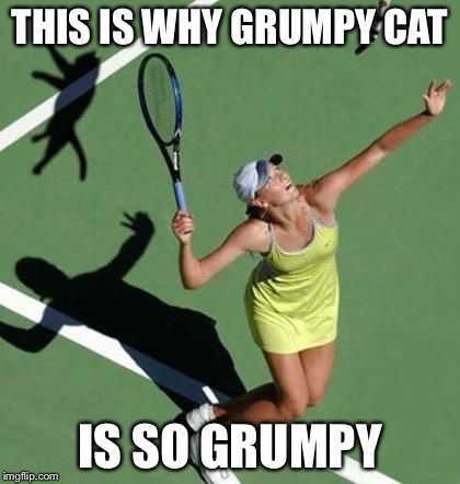 No wonder! | THIS IS WHY GRUMPY CAT; IS SO GRUMPY | image tagged in grumpy cat tennis,grumpy cat,tennis,animal attack | made w/ Imgflip meme maker