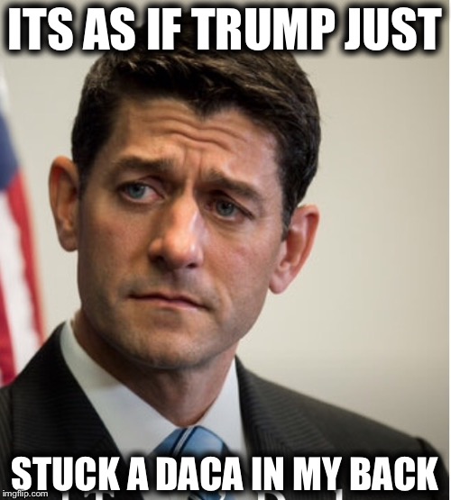 Paul Ryan | ITS AS IF TRUMP JUST; STUCK A DACA IN MY BACK | image tagged in paul ryan,memes,funny,donald trump,daca | made w/ Imgflip meme maker