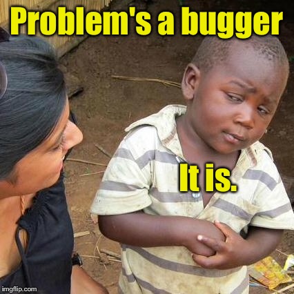 Third World Skeptical Kid Meme | Problem's a bugger It is. | image tagged in memes,third world skeptical kid | made w/ Imgflip meme maker