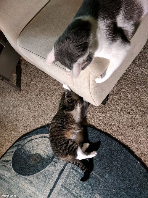 Kat mechanic | image tagged in kat mechanic | made w/ Imgflip meme maker