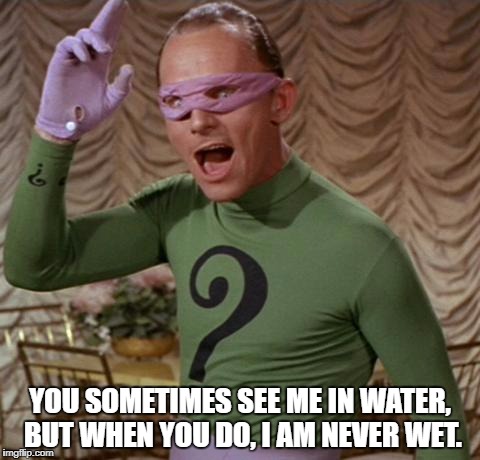 Riddler | YOU SOMETIMES SEE ME IN WATER, BUT WHEN YOU DO, I AM NEVER WET. | image tagged in riddler | made w/ Imgflip meme maker