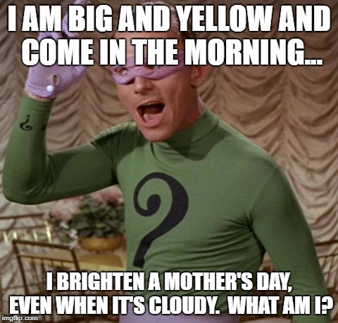 Riddler | I AM BIG AND YELLOW AND COME IN THE MORNING... I BRIGHTEN A MOTHER'S DAY, EVEN WHEN IT'S CLOUDY.  WHAT AM I? | image tagged in riddler | made w/ Imgflip meme maker
