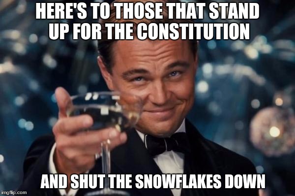 Leonardo Dicaprio Cheers Meme | HERE'S TO THOSE THAT STAND UP FOR THE CONSTITUTION; AND SHUT THE SNOWFLAKES DOWN | image tagged in memes,leonardo dicaprio cheers | made w/ Imgflip meme maker