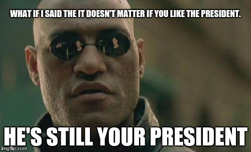 idiots | WHAT IF I SAID THE IT DOESN'T MATTER IF YOU LIKE THE PRESIDENT. HE'S STILL YOUR PRESIDENT | image tagged in memes,matrix morpheus,president trump,maga | made w/ Imgflip meme maker