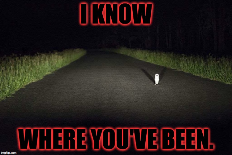 Wise Owl  | I KNOW; WHERE YOU'VE BEEN. | image tagged in boy am i in shit lol | made w/ Imgflip meme maker