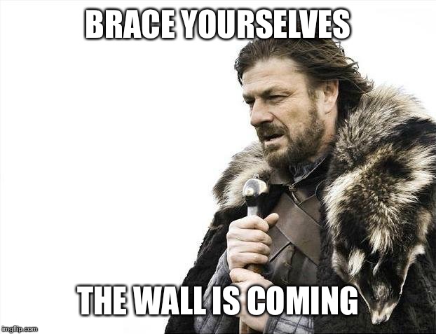 Brace Yourselves X is Coming Meme | BRACE YOURSELVES THE WALL IS COMING | image tagged in memes,brace yourselves x is coming | made w/ Imgflip meme maker