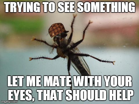 TRYING TO SEE SOMETHING LET ME MATE WITH YOUR EYES, THAT SHOULD HELP | made w/ Imgflip meme maker