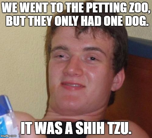 10 Guy | WE WENT TO THE PETTING ZOO, BUT THEY ONLY HAD ONE DOG. IT WAS A SHIH TZU. | image tagged in memes,10 guy | made w/ Imgflip meme maker