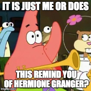 No Patrick | IT IS JUST ME OR DOES; THIS REMIND YOU OF HERMIONE GRANGER? | image tagged in memes,no patrick | made w/ Imgflip meme maker