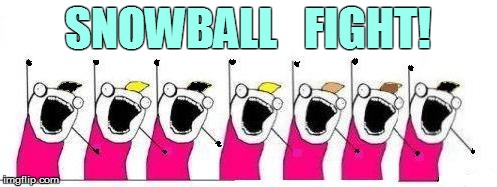 SNOWBALL   FIGHT! | made w/ Imgflip meme maker