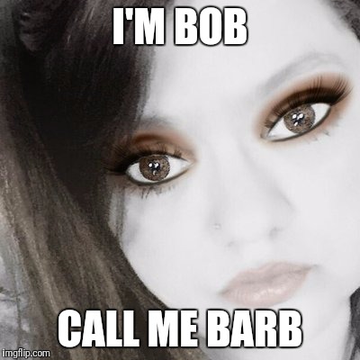 Skank | I'M BOB; CALL ME BARB | image tagged in skank | made w/ Imgflip meme maker