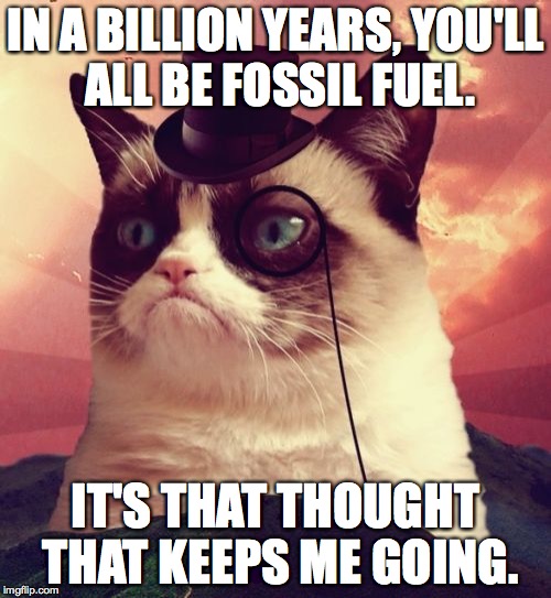 Grumpy Cat takes the long view. | IN A BILLION YEARS, YOU'LL ALL BE FOSSIL FUEL. IT'S THAT THOUGHT THAT KEEPS ME GOING. | image tagged in memes,grumpy cat top hat,grumpy cat | made w/ Imgflip meme maker