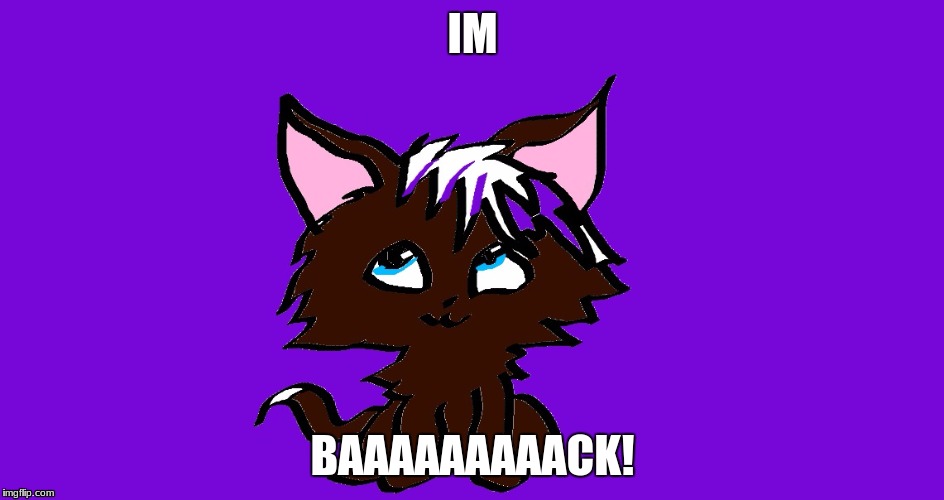 Oh boy...
This is gonna be interesting. | IM; BAAAAAAAAACK! | image tagged in cat | made w/ Imgflip meme maker