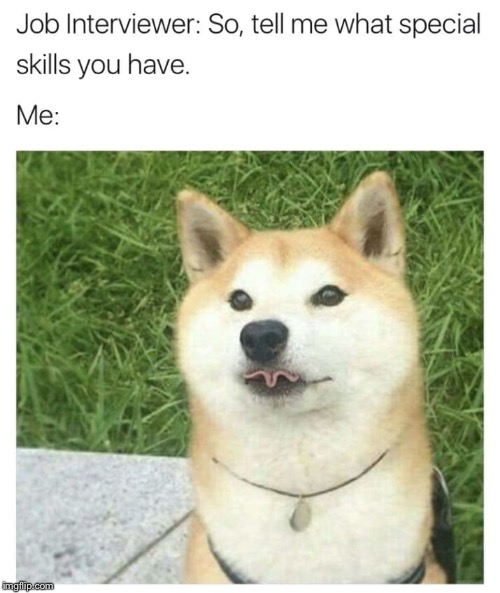 Skillz | H | image tagged in dog,skillz | made w/ Imgflip meme maker