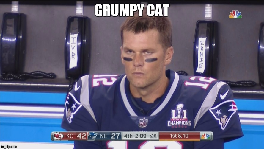 Tom Brady | GRUMPY CAT | image tagged in tom brady,grumpy cat,grumpy | made w/ Imgflip meme maker