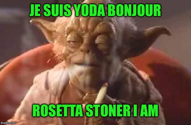 Stoner yoda | JE SUIS YODA BONJOUR ROSETTA STONER I AM | image tagged in stoner yoda | made w/ Imgflip meme maker
