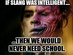Two Face Knows | IF SLANG WAS INTELLIGENT.... ...THEN WE WOULD NEVER NEED SCHOOL. | image tagged in two face knows | made w/ Imgflip meme maker