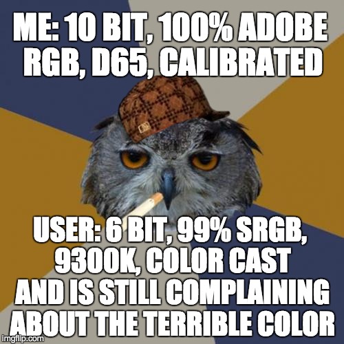 Art Student Owl | ME: 10 BIT, 100% ADOBE RGB, D65, CALIBRATED; USER: 6 BIT, 99% SRGB, 9300K, COLOR CAST AND IS STILL COMPLAINING ABOUT THE TERRIBLE COLOR | image tagged in memes,art student owl,scumbag | made w/ Imgflip meme maker