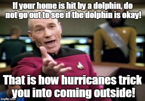 Picard Wtf | If your home is hit by a dolphin, do not go out to see if the dolphin is okay! That is how hurricanes trick you into coming outside! | image tagged in memes,picard wtf | made w/ Imgflip meme maker