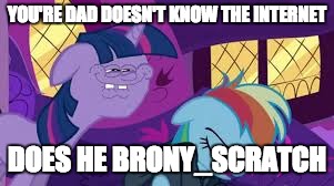 don't you rainbow dash | YOU'RE DAD DOESN'T KNOW THE INTERNET DOES HE BRONY_SCRATCH | image tagged in don't you rainbow dash | made w/ Imgflip meme maker