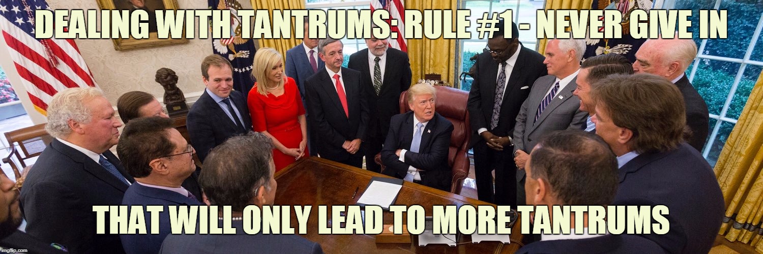 DEALING WITH TANTRUMS: RULE #1 - NEVER GIVE IN; THAT WILL ONLY LEAD TO MORE TANTRUMS | image tagged in toddler in chief | made w/ Imgflip meme maker