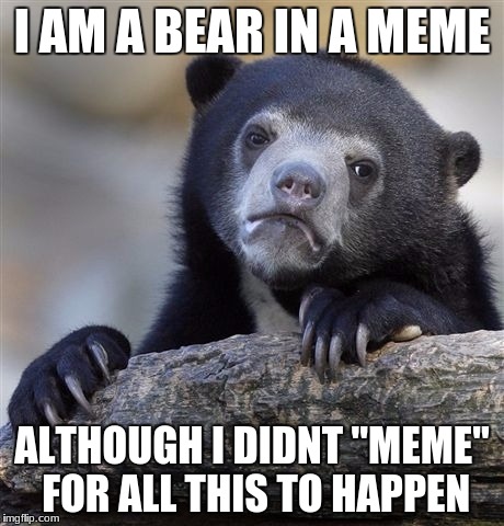 Confession Bear Meme | I AM A BEAR IN A MEME; ALTHOUGH I DIDNT "MEME" FOR ALL THIS TO HAPPEN | image tagged in memes,confession bear | made w/ Imgflip meme maker