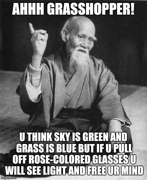 Confucius say | AHHH GRASSHOPPER! U THINK SKY IS GREEN AND GRASS IS BLUE BUT IF U PULL OFF ROSE-COLORED GLASSES U WILL SEE LIGHT AND FREE UR MIND | image tagged in confucius say | made w/ Imgflip meme maker