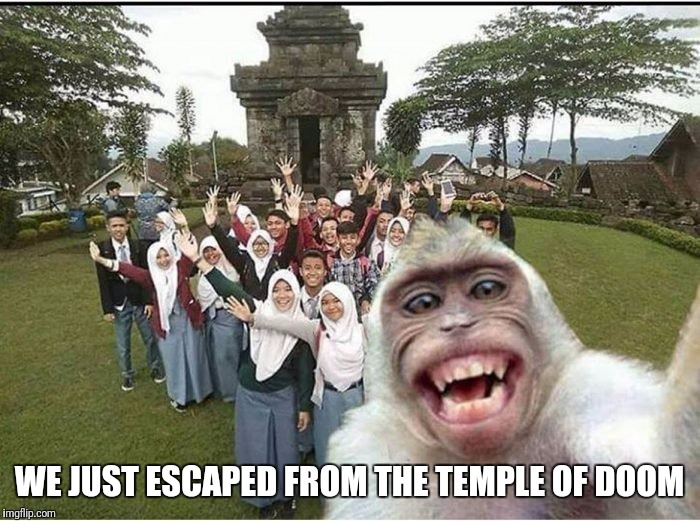 I'm going to Disney World! |  WE JUST ESCAPED FROM THE TEMPLE OF DOOM | image tagged in memes,selfie,indiana jones,temple of doom | made w/ Imgflip meme maker