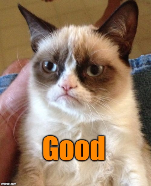 Grumpy Cat Meme | Good | image tagged in memes,grumpy cat | made w/ Imgflip meme maker