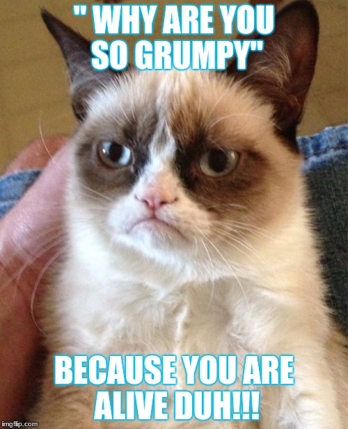 Grumpy Cat Meme | " WHY ARE YOU SO GRUMPY"; BECAUSE YOU ARE ALIVE DUH!!! | image tagged in memes,grumpy cat | made w/ Imgflip meme maker