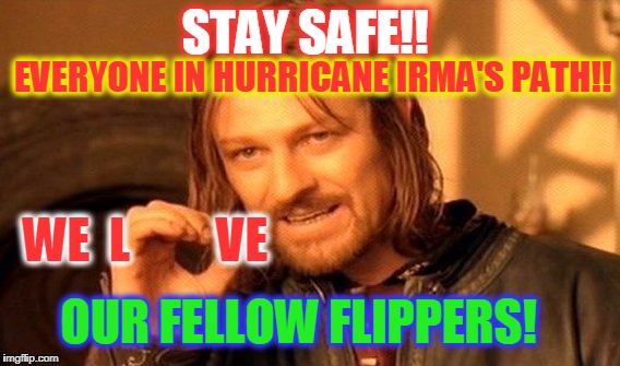 ☼ ❀ ♥ ღ Florida, Georgia, the Carolinas ... From ShabbyRose in Western NC Who Has Stocked Up! ღ ♥ ❀ ☼   | EVERYONE IN HURRICANE IRMA'S PATH!! STAY SAFE!! WE  L         VE; OUR FELLOW FLIPPERS! | image tagged in memes,one does not simply,hurricane irma,stay safe,we love our flippers | made w/ Imgflip meme maker
